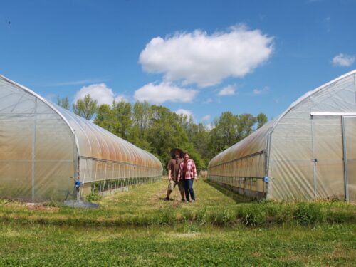 Farm Feature: Pinelands Produce
