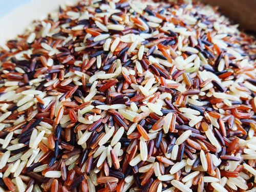 Wild Rice Winter Bowl with Sweet Plantain, Roasted Squash and Red Cabbage Slaw
