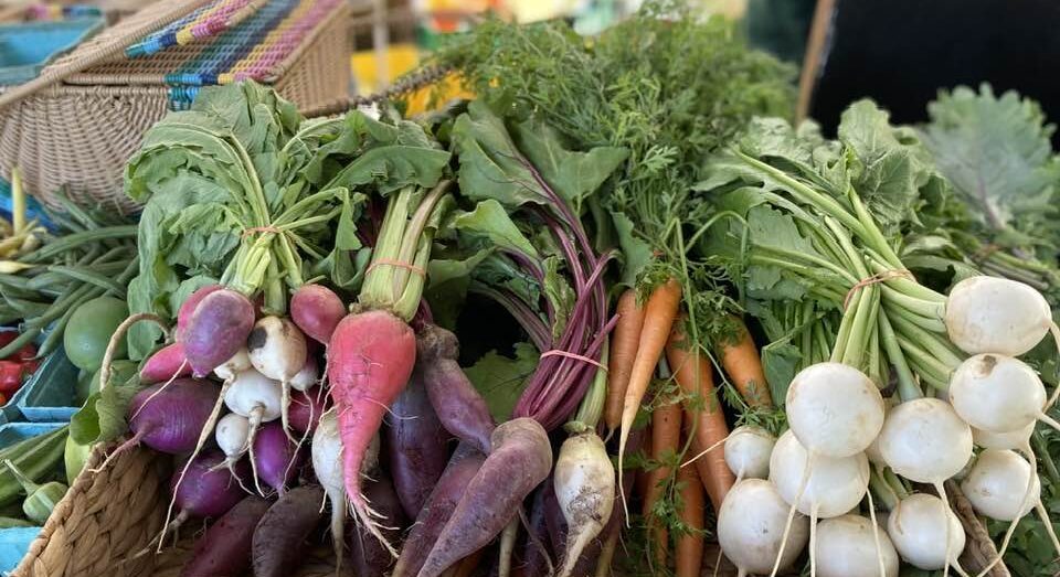 Fall is here at the Farmers Market!