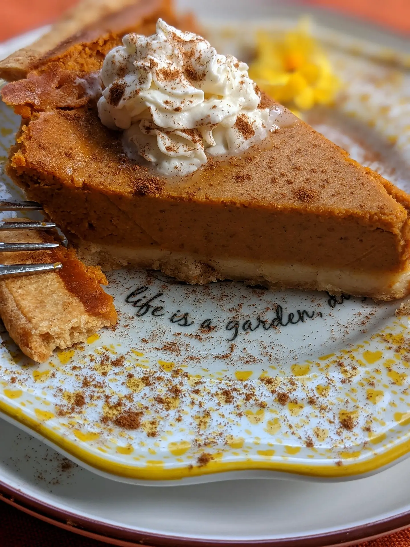 Pumpkin Pie web
